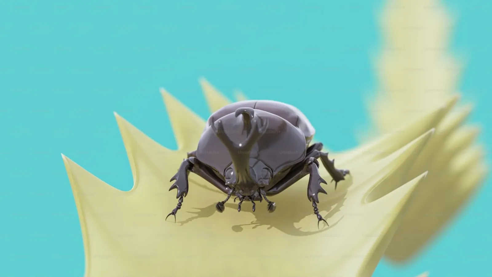 Get Rid of Stink Bugs Today